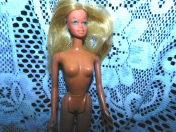 malibu barbie tnt taiwan b